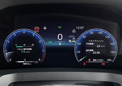 #13495 - 2024 Toyota Alphard