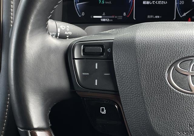 #13495 - 2024 Toyota Alphard